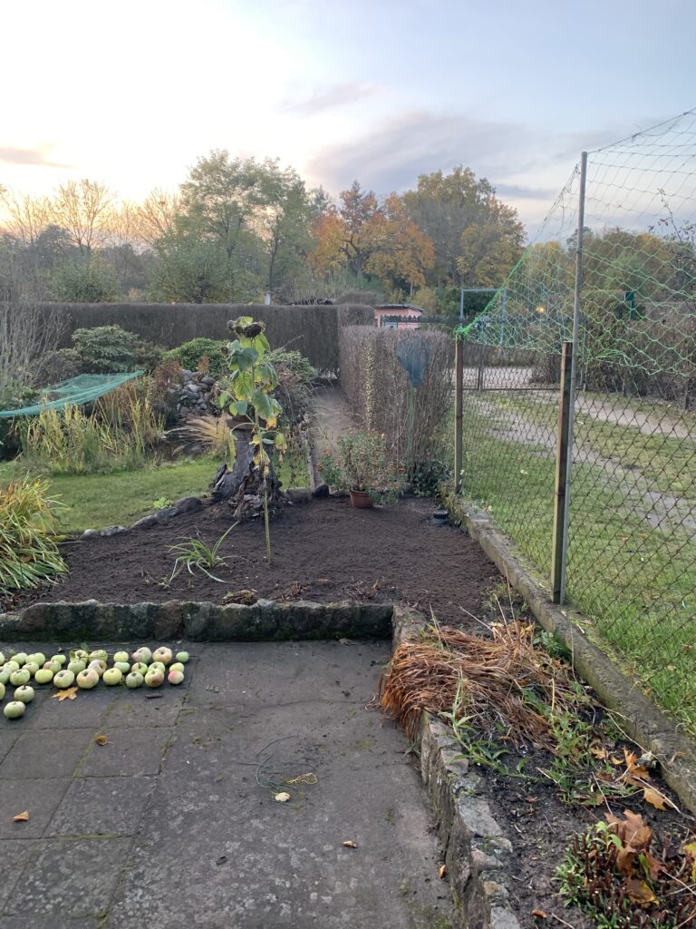 Gartenbereich nach der Umgestaltung