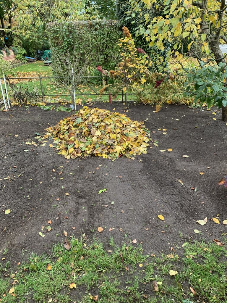 Jedes Kind wäre gern in diesen Laubhaufen reingesprungen