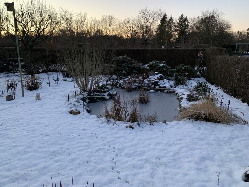 Kleingarten im Winter mit Blick auf den Teich