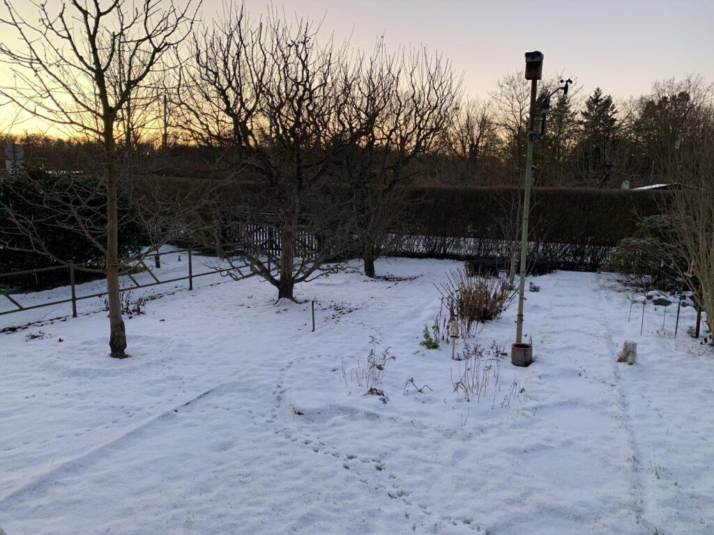 Apfelbäume im "Winterschlaf"